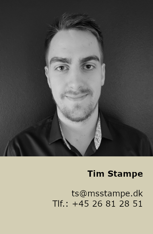 profil tim stampe
